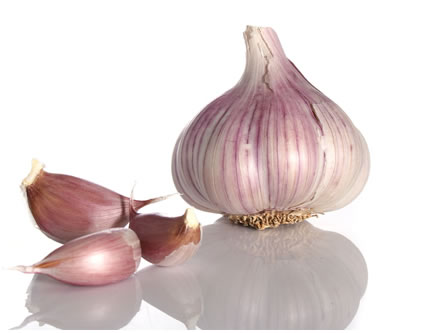 garlic1.jpeg